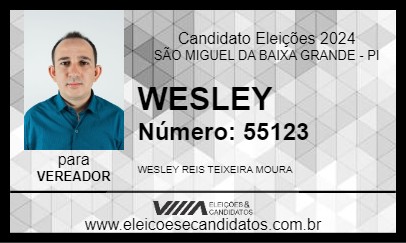 Candidato WESLEY 2024 - SÃO MIGUEL DA BAIXA GRANDE - Eleições