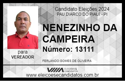 Candidato NENEZINHO DA CAMPEIRA 2024 - PAU D\ARCO DO PIAUÍ - Eleições