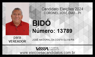 Candidato BIDÓ 2024 - CORONEL JOSÉ DIAS - Eleições