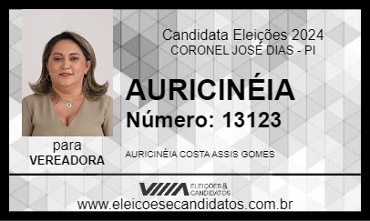 Candidato AURICINÉIA 2024 - CORONEL JOSÉ DIAS - Eleições