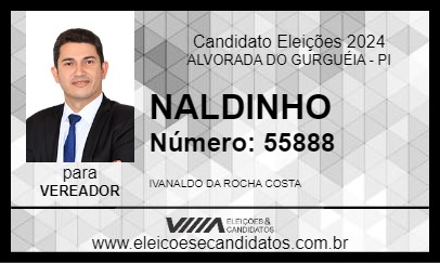 Candidato NALDINHO 2024 - ALVORADA DO GURGUÉIA - Eleições