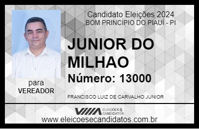 Candidato JUNIOR DO MILHAO 2024 - BOM PRINCÍPIO DO PIAUÍ - Eleições