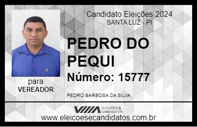 Candidato PEDRO DO PEQUI 2024 - SANTA LUZ - Eleições