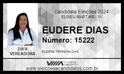 Candidato EUDERE DIAS 2024 - ELISEU MARTINS - Eleições