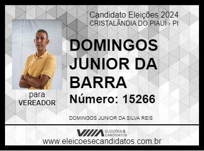 Candidato DOMINGOS JUNIOR DA BARRA 2024 - CRISTALÂNDIA DO PIAUÍ - Eleições