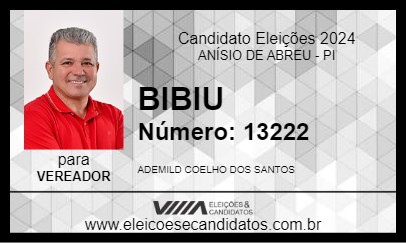 Candidato BIBIU 2024 - ANÍSIO DE ABREU - Eleições