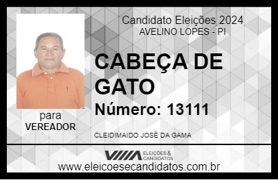 Candidato CABEÇA DE GATO 2024 - AVELINO LOPES - Eleições