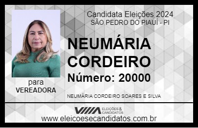 Candidato NEUMÁRIA CORDEIRO 2024 - SÃO PEDRO DO PIAUÍ - Eleições