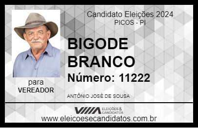 Candidato BIGODE BRANCO 2024 - PICOS - Eleições