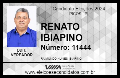 Candidato RENATO IBIAPINO 2024 - PICOS - Eleições