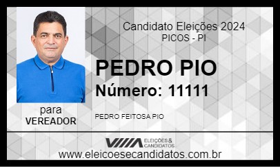 Candidato PEDRO PIO 2024 - PICOS - Eleições