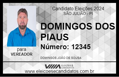 Candidato DOMINGOS DOS PIAUS 2024 - SÃO JULIÃO - Eleições