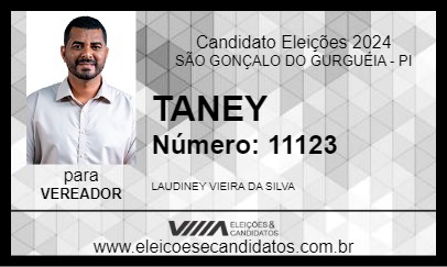 Candidato TANEY 2024 - SÃO GONÇALO DO GURGUÉIA - Eleições