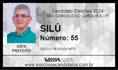 Candidato SILÚ 2024 - SÃO GONÇALO DO GURGUÉIA - Eleições