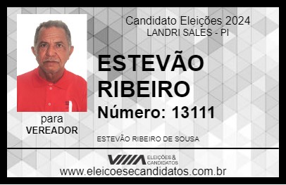 Candidato ESTEVÃO RIBEIRO 2024 - LANDRI SALES - Eleições