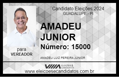 Candidato AMADEU JUNIOR  2024 - GUADALUPE - Eleições