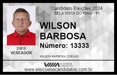 Candidato WILSON BARBOSA 2024 - BELA VISTA DO PIAUÍ - Eleições