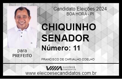 Candidato CHIQUINHO SENADOR 2024 - BOA HORA - Eleições