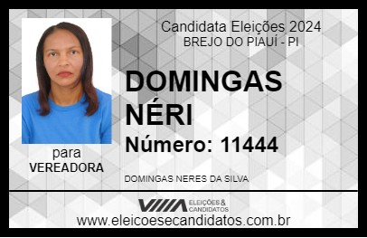 Candidato DOMINGAS NÉRI 2024 - BREJO DO PIAUÍ - Eleições