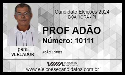 Candidato PROF ADÃO 2024 - BOA HORA - Eleições