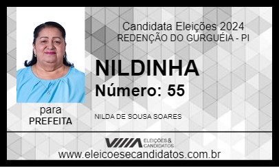 Candidato NILDINHA 2024 - REDENÇÃO DO GURGUÉIA - Eleições