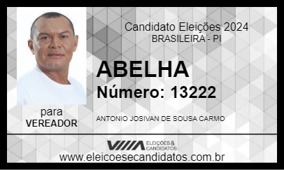 Candidato ABELHA 2024 - BRASILEIRA - Eleições