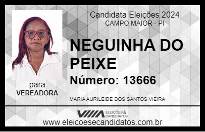 Candidato NEGUINHA DO PEIXE 2024 - CAMPO MAIOR - Eleições