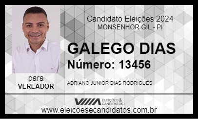 Candidato GALEGO DIAS 2024 - MONSENHOR GIL - Eleições