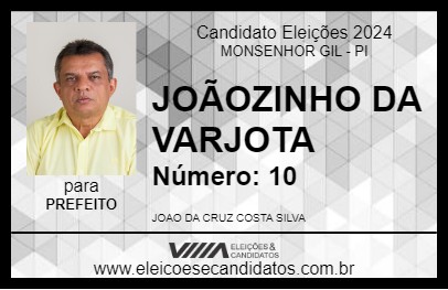 Candidato JOÃOZINHO DA VARJOTA 2024 - MONSENHOR GIL - Eleições