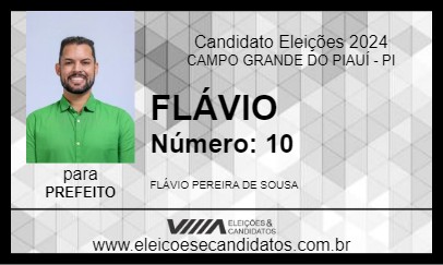 Candidato FLÁVIO 2024 - CAMPO GRANDE DO PIAUÍ - Eleições