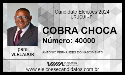 Candidato COBRA CHOCA 2024 - URUÇUÍ - Eleições