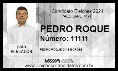 Candidato PEDRO ROQUE 2024 - PAES LANDIM - Eleições