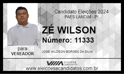 Candidato ZÉ WILSON 2024 - PAES LANDIM - Eleições