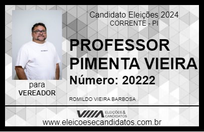 Candidato PROFESSOR PIMENTA VIEIRA 2024 - CORRENTE - Eleições