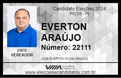 Candidato CAPITÃO EVERTON ARAÚJO 2024 - PICOS - Eleições