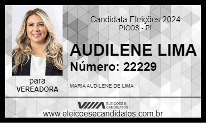 Candidato AUDILENE LIMA 2024 - PICOS - Eleições