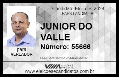 Candidato JUNIOR DO VALLE 2024 - PAES LANDIM - Eleições