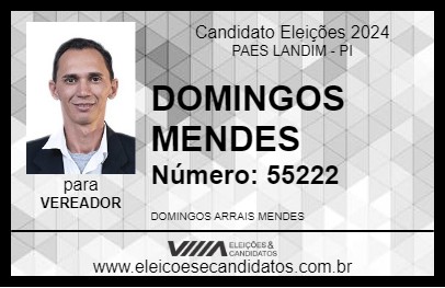 Candidato DOMINGOS MENDES 2024 - PAES LANDIM - Eleições