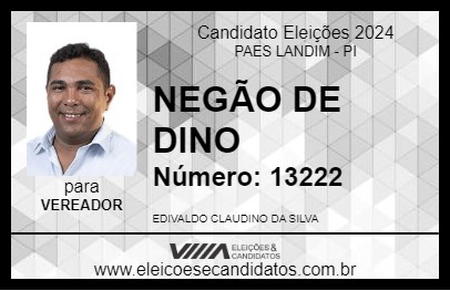 Candidato NEGÃO DE DINO 2024 - PAES LANDIM - Eleições