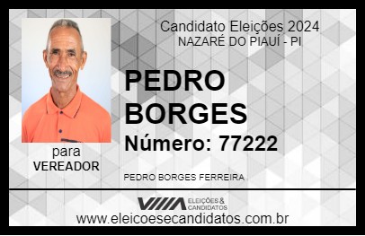 Candidato PEDRO BORGES 2024 - NAZARÉ DO PIAUÍ - Eleições