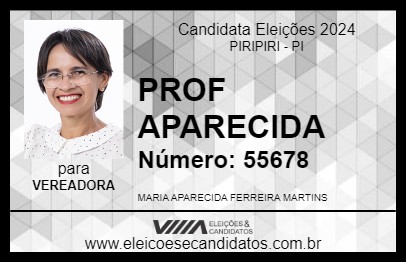 Candidato PROF APARECIDA 2024 - PIRIPIRI - Eleições