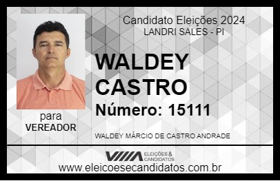 Candidato WALDEY CASTRO 2024 - LANDRI SALES - Eleições