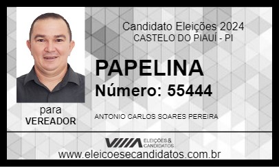 Candidato PAPELINA 2024 - CASTELO DO PIAUÍ - Eleições