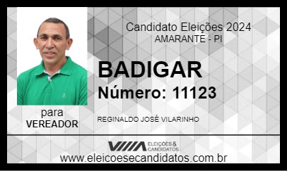 Candidato BADIGAR 2024 - AMARANTE - Eleições