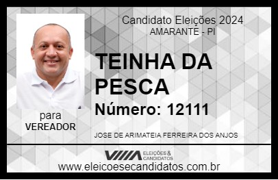 Candidato TEINHA DA PESCA 2024 - AMARANTE - Eleições