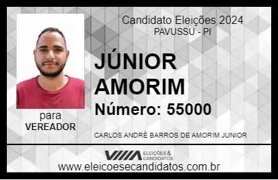 Candidato JÚNIOR AMORIM 2024 - PAVUSSU - Eleições