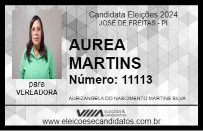 Candidato AUREA MARTINS 2024 - JOSÉ DE FREITAS - Eleições