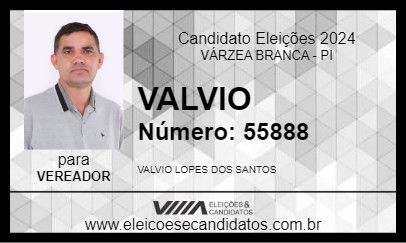 Candidato VALVIO 2024 - VÁRZEA BRANCA - Eleições