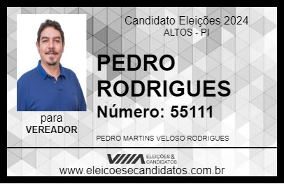 Candidato PEDRO RODRIGUES 2024 - ALTOS - Eleições