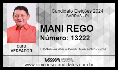 Candidato MANIN REGO 2024 - BARRAS - Eleições